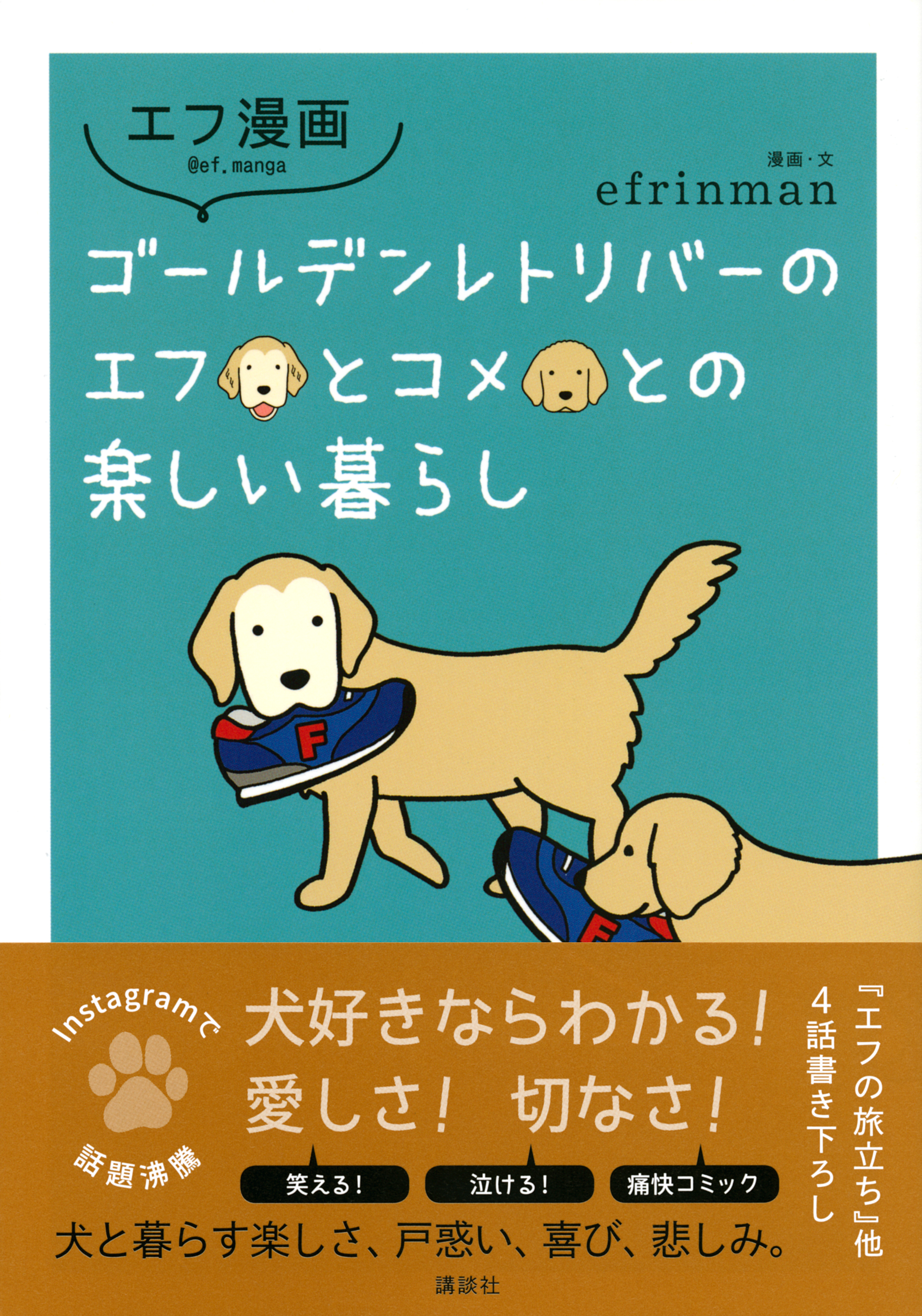 犬好きあるあるに笑いと涙 人気の エフ漫画 知ってる エフ漫画 ゴールデンレトリバーのエフとコメとの楽しい暮らし Bookウォッチ