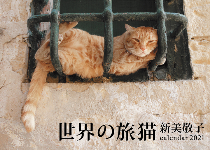 画像は、『世界の旅猫カレンダー2021』（辰巳出版）
