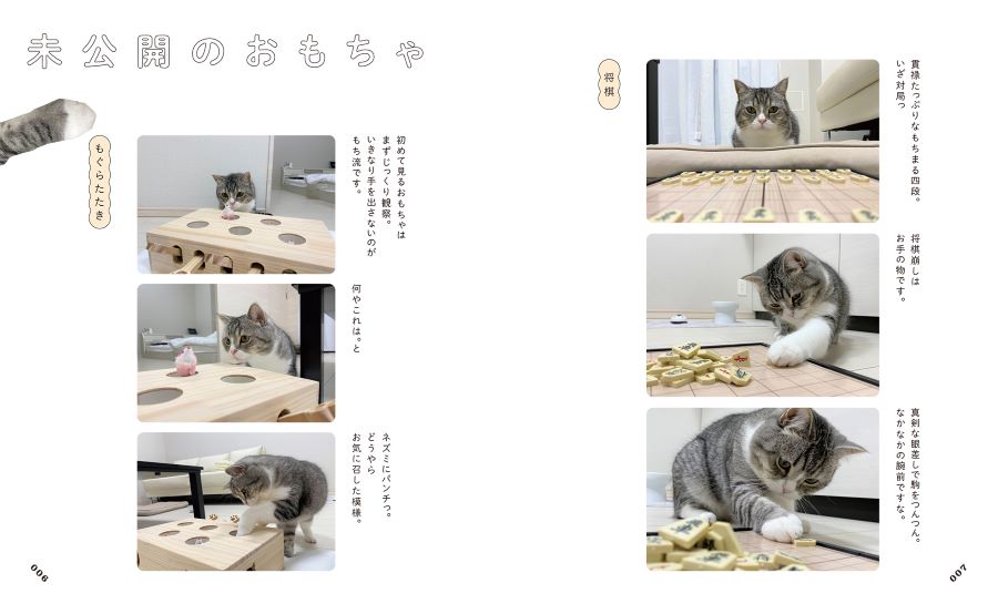 猫目屋様専用ページ - その他