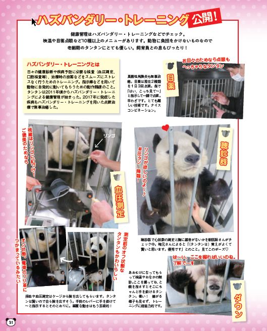 写真はパンダの飼育に関するページ(提供:光文社)