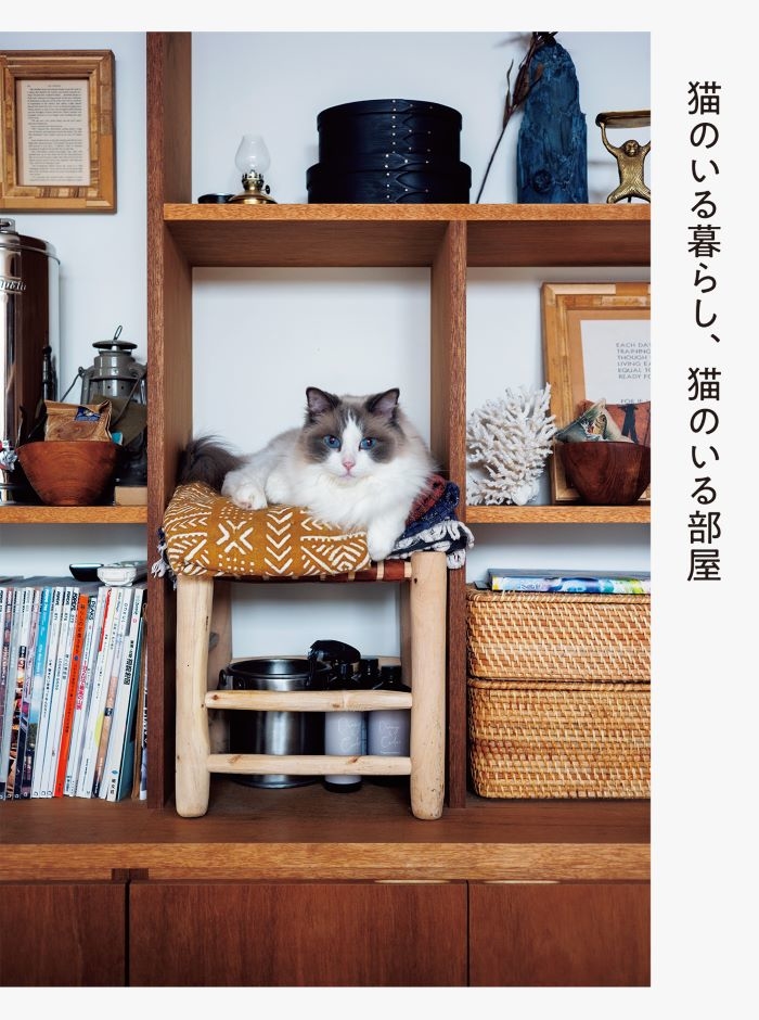 猫家具 - テーブル