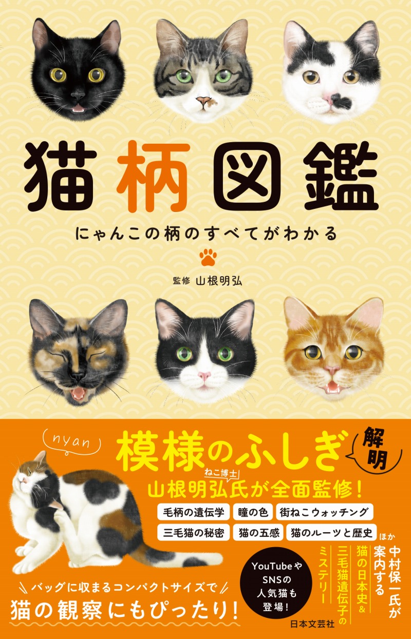 2222] 猫 ハウスにゃんこ 三毛猫 ハンドメイド - www.agdsicilia.it