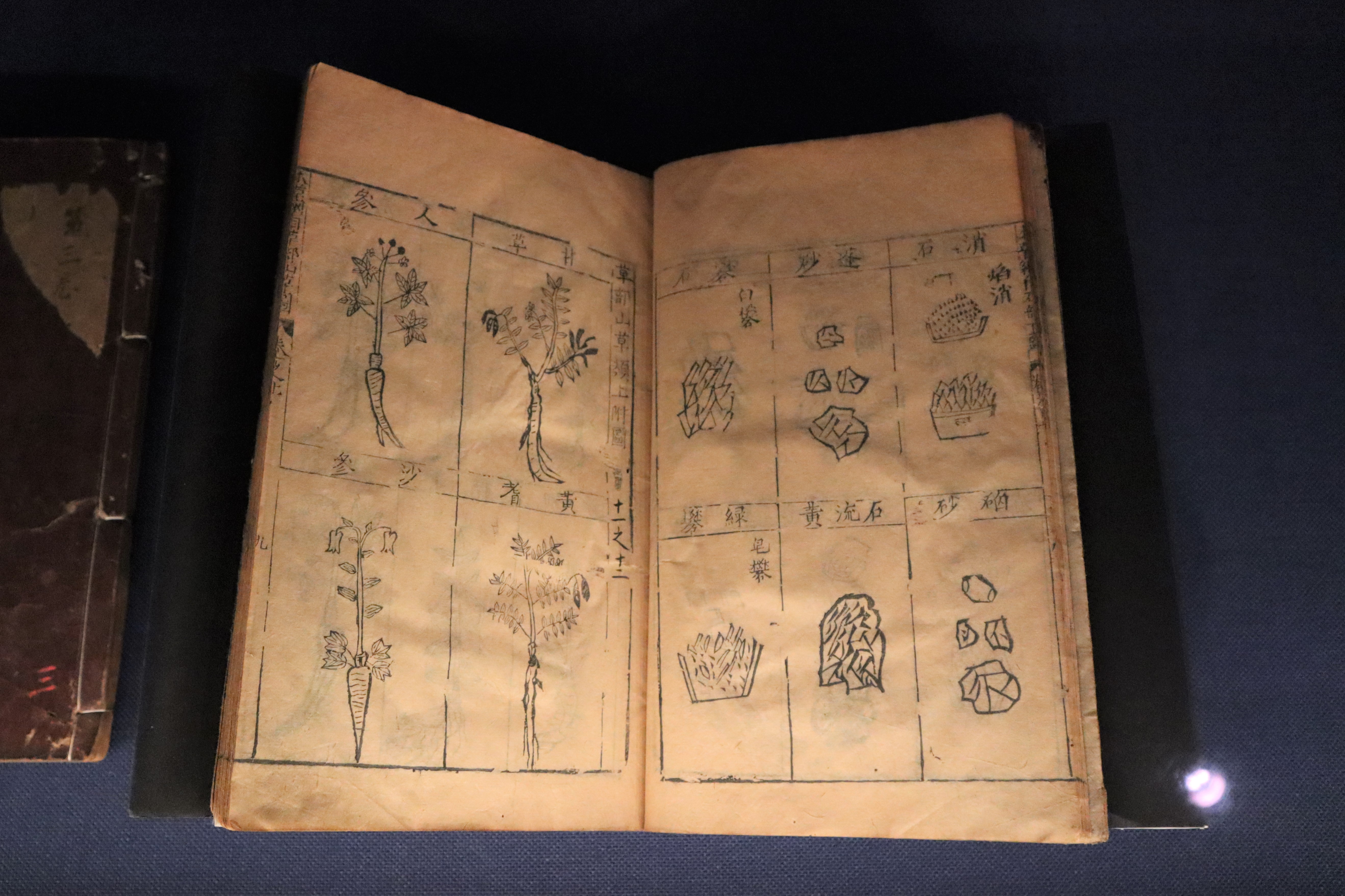 展示中の『本草綱目』（李時珍撰　1596（万暦24）年刊）。右のページには鉱物がまとめられている。