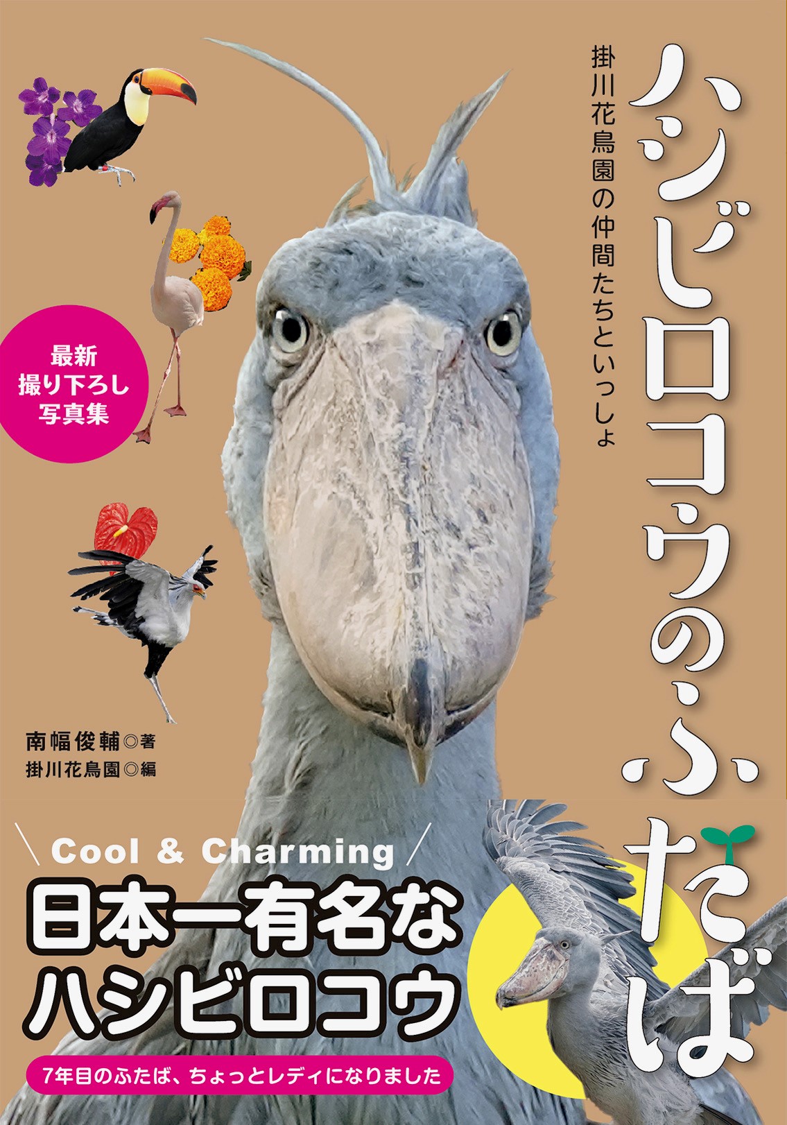 清原果耶もファンの「動かない鳥」、日本一有名なハシビロコウ「ふたば」の写真集発売