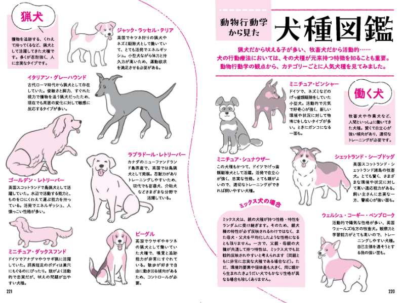 人気の23犬種を動物行動学から解説